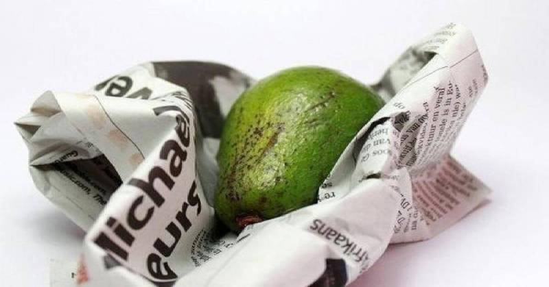 Чтобы авокадо дозрел быстро: 5 хитростей в помощь