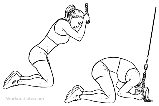 14 упражнений, которые помогут избавиться от боли в спине