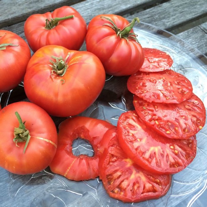 До безобразия простой способ, как вырастить томаты прямо дома