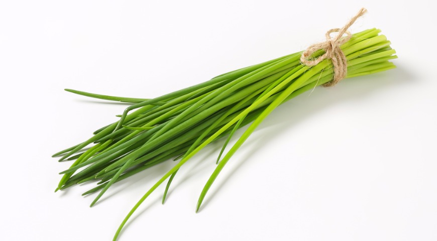 Пряные травы: кулинарное использование