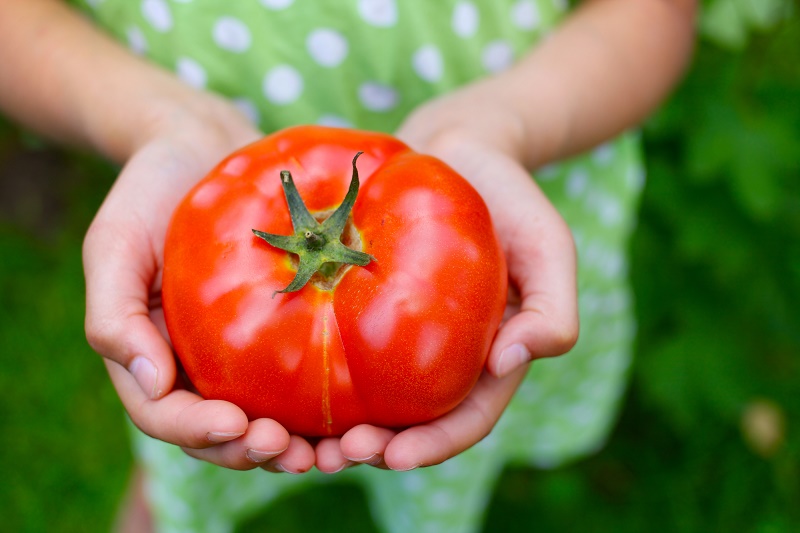 Кому нельзя есть помидоры: 7 строгих запретов на томаты
