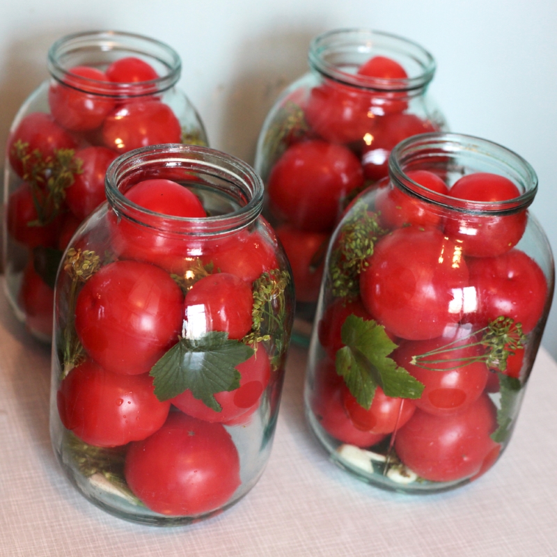 Кому нельзя есть помидоры: 7 строгих запретов на томаты