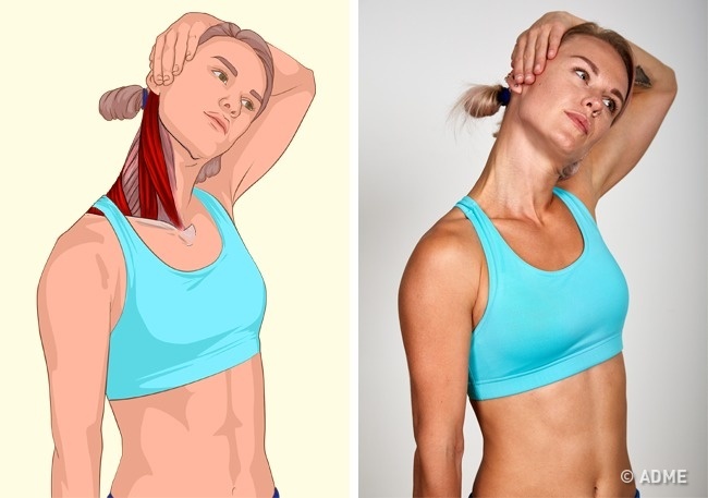 18 изображений, которые наглядно покажут, какие мышцы вы растягиваете.