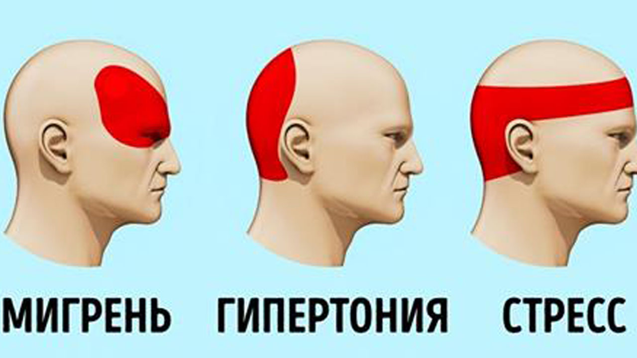 Где твоя голова ляжет там и свои головы сложим