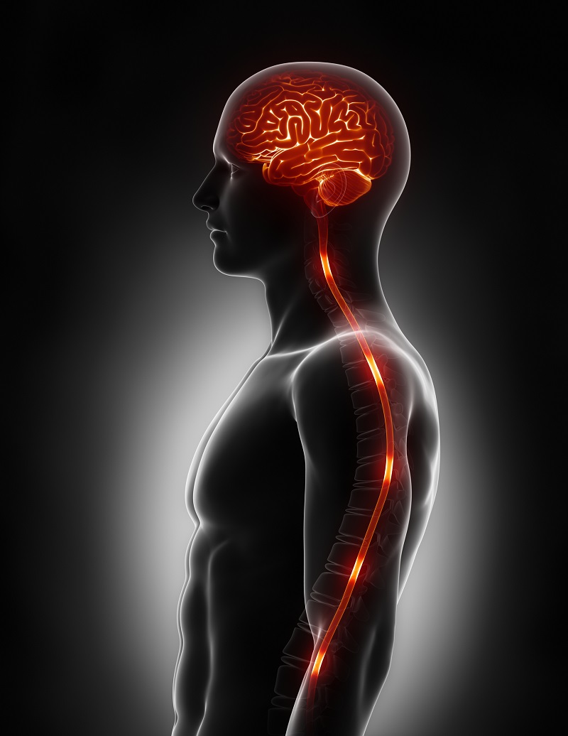 Хроническая головная боль в определенной части головы: вот все причины. Знания индийской медицины.