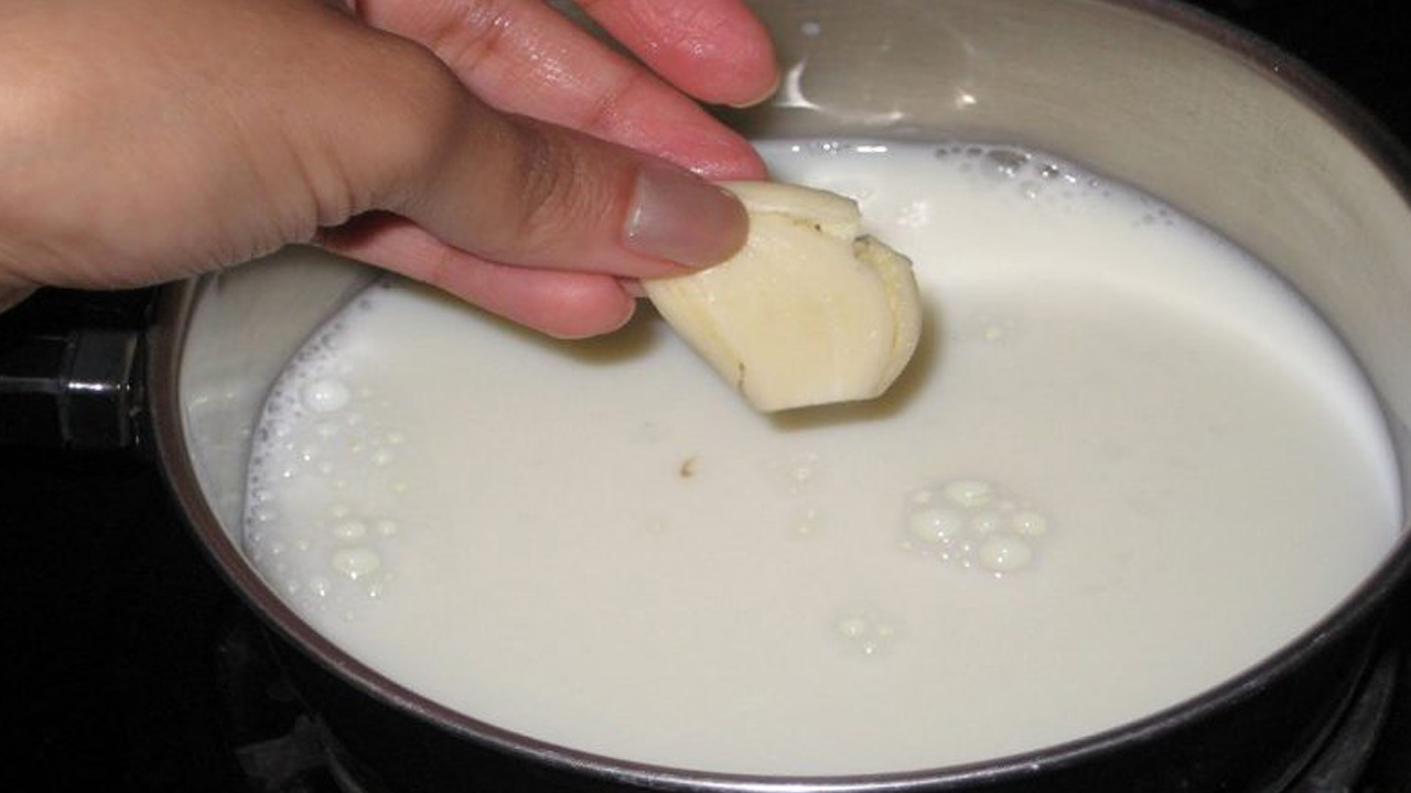 Рецепт молоко с чесноком для чего пьют. Чеснок с молоком. Чесночное молоко. Вареный чеснок. Вареный лук в молоке.