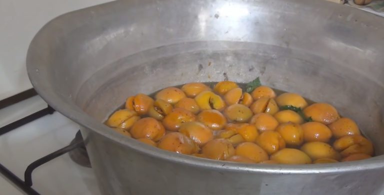 Варенье из абрикосов на зиму: 5 рецептов без косточек и дольками